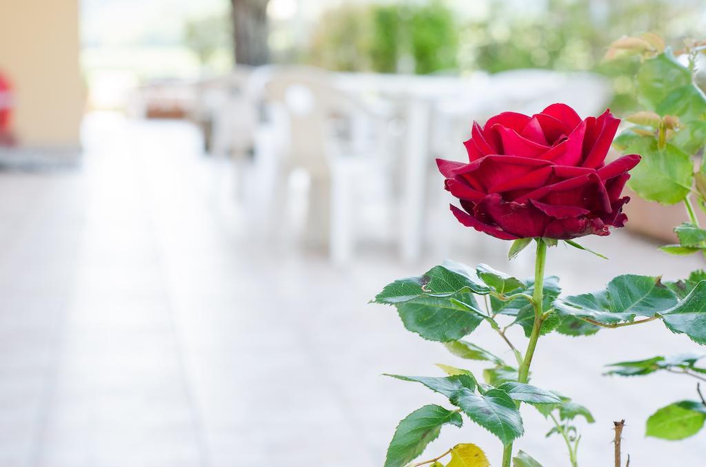 Hotel Il Pozzetto Ravigliano Esterno foto